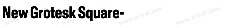 New Grotesk Square字体转换 New Grotesk Square字体转换
